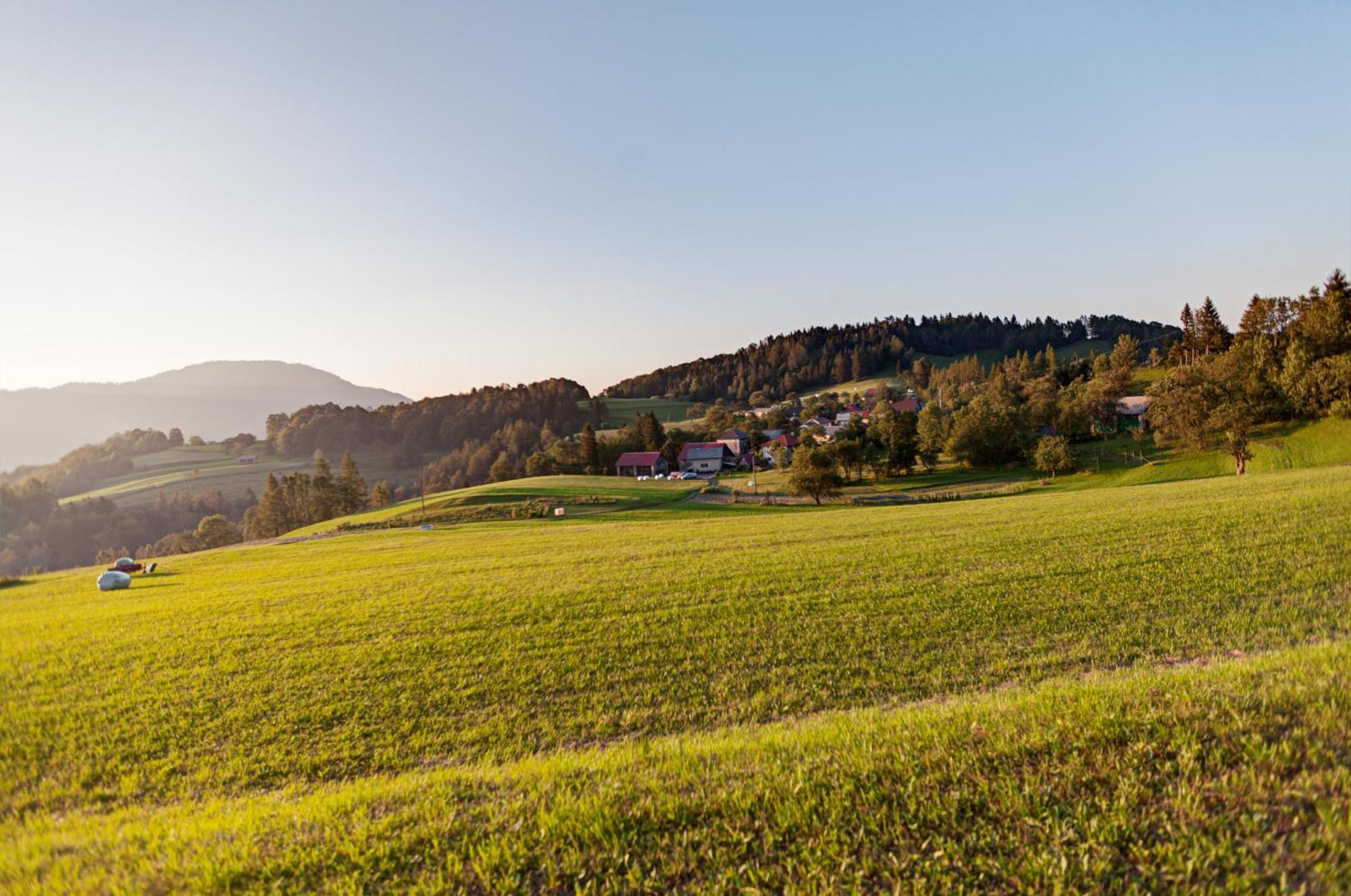 Apartmaji Pr-Gujlu Sela Nad Podmelcem 5220 Tolmin Podmelec Bagian luar foto